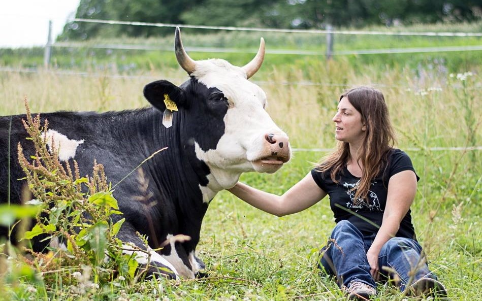 Happy Cow endori Happy Cow endori